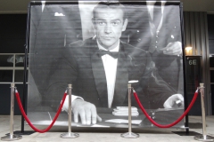 Decor-James-Bond-3m-x-25m
