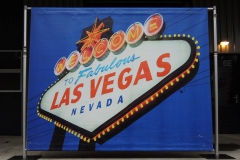 Decor-Las-Vegas-2-3m-x-25m
